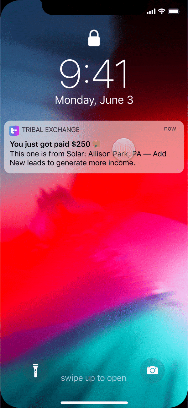 Tribal mobile prototype moves between earnings and lead-management states using fictional fixture data